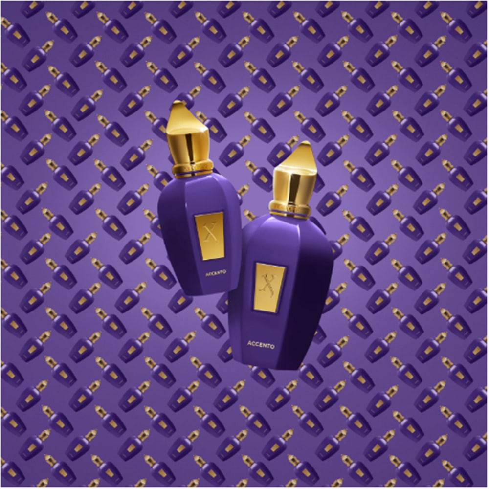 Xerjoff Accento EDP, 100 мл —  – обзор и цена Xerjoff Perfume Fragrance